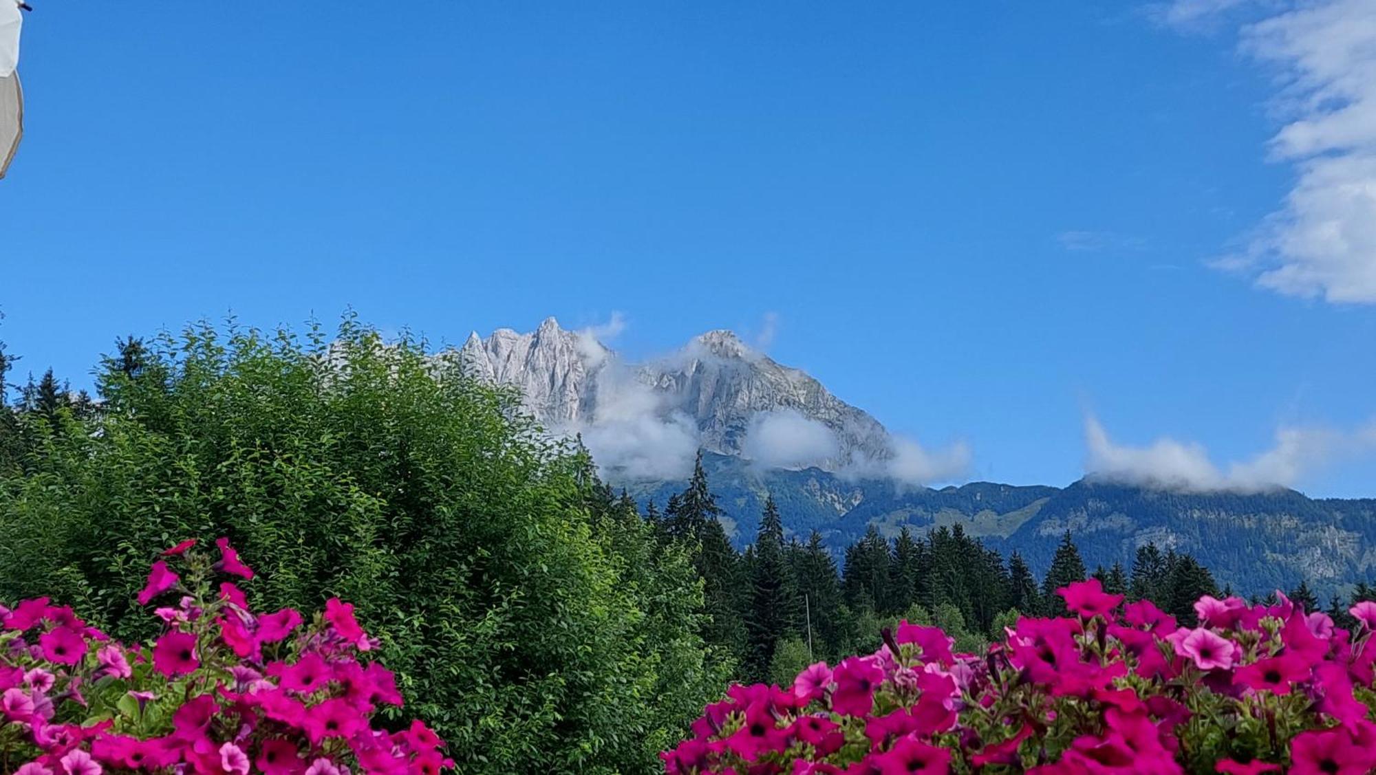 Gartenhotel Rosenhof Bei Kitzbuehel Oberndorf in Tirol Exteriér fotografie